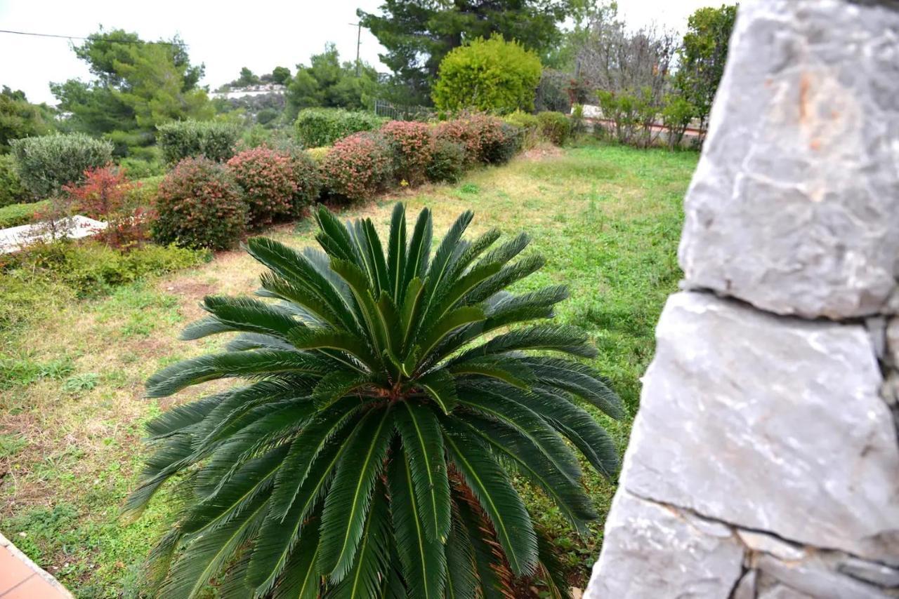Vila Amalia Theologos  Exteriér fotografie